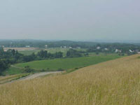 Looking North